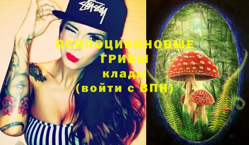 Псилоцибиновые грибы Psilocybe  shop формула  блэк спрут рабочий сайт  Армянск  купить наркотик 